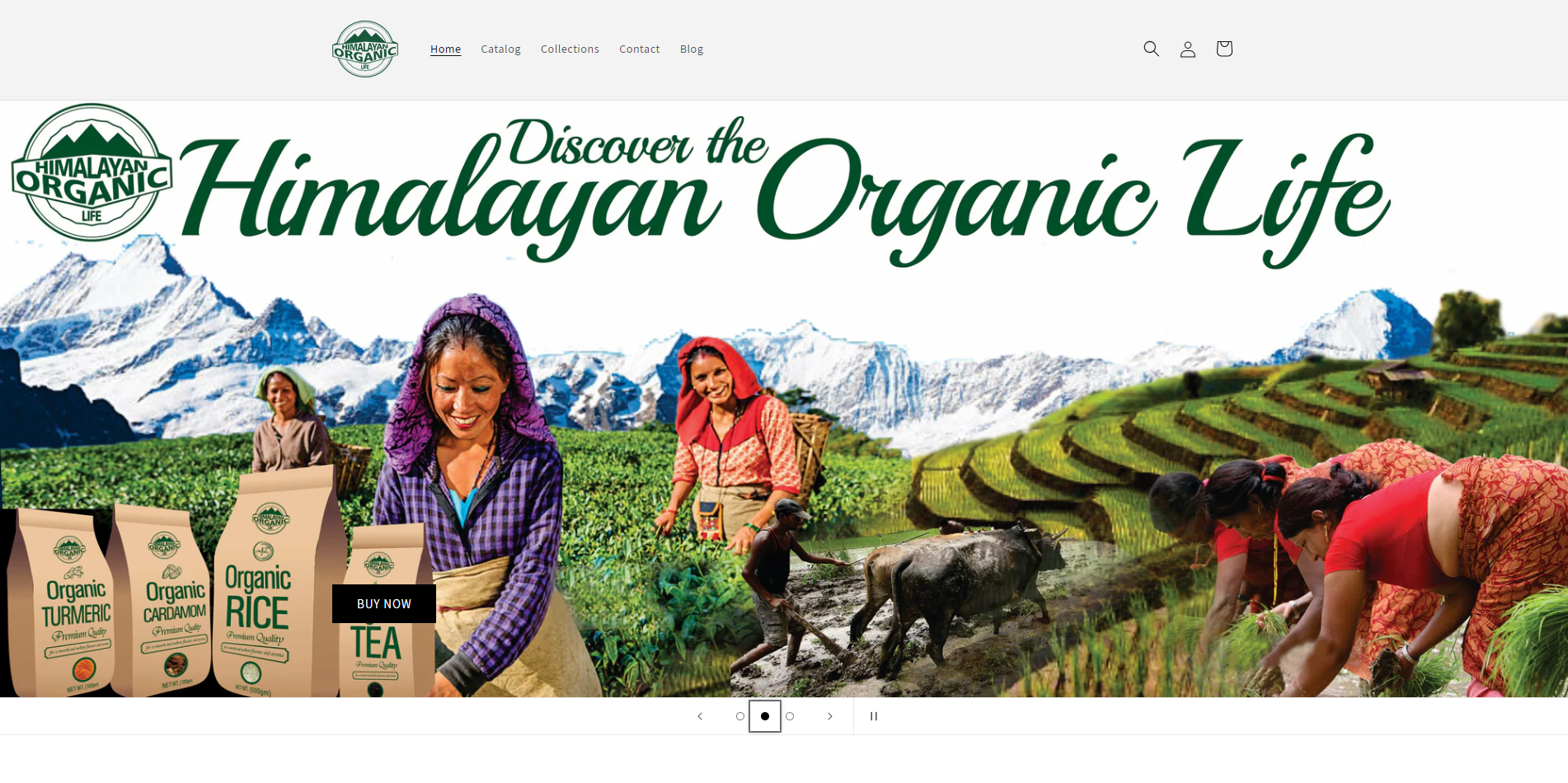 Web Design 1